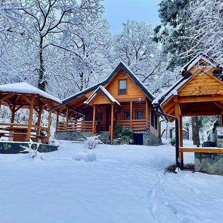 Brvnara Vrsac Villa Exterior foto
