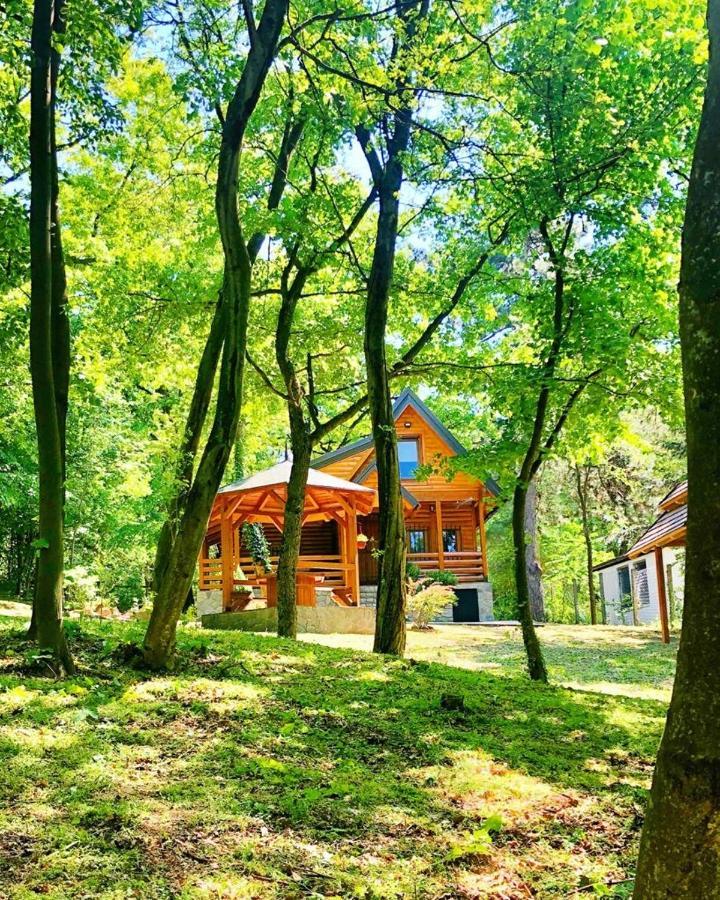 Brvnara Vrsac Villa Exterior foto