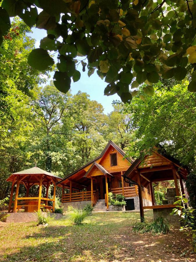 Brvnara Vrsac Villa Exterior foto