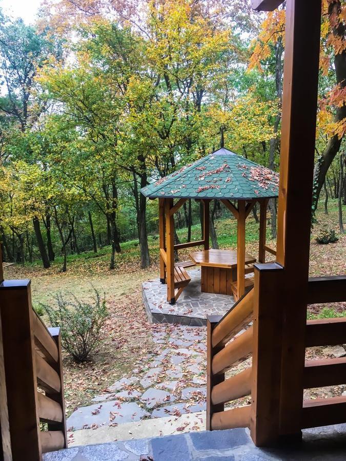 Brvnara Vrsac Villa Exterior foto