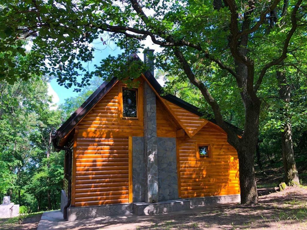 Brvnara Vrsac Villa Exterior foto